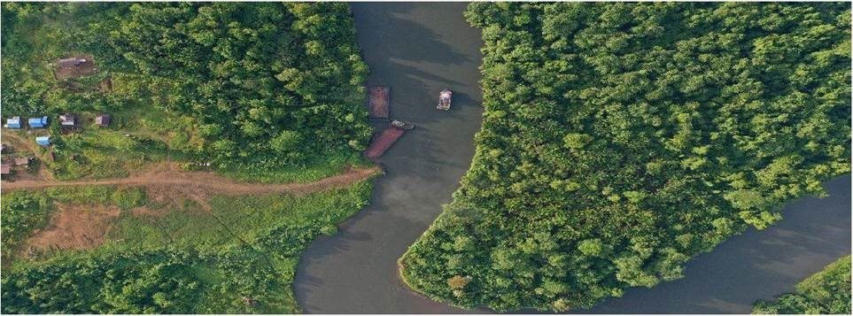 Brid's-eye view of the ships on the river among the forest