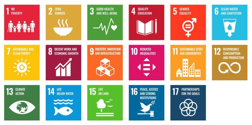 Graphic showing boxes with 17 Sustainable Development Goals